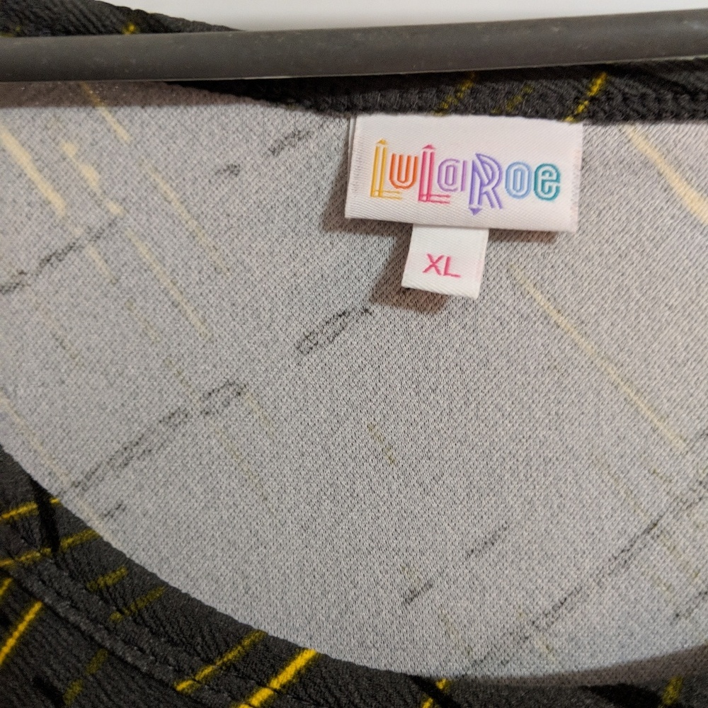 Lularoe Nicole worn 2x